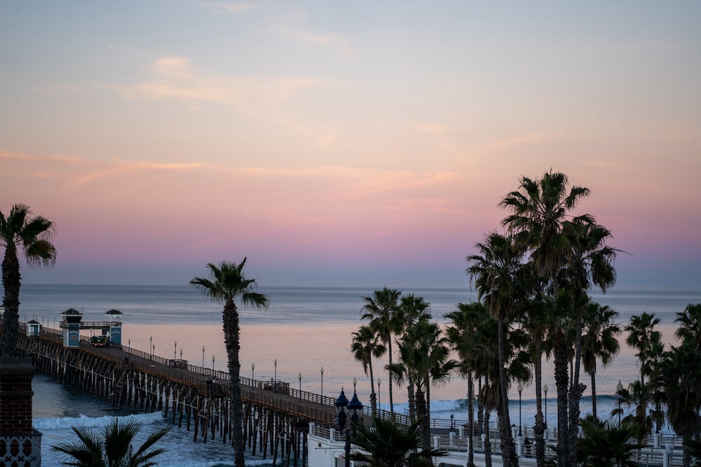 pink-sunset-and-palm-trees