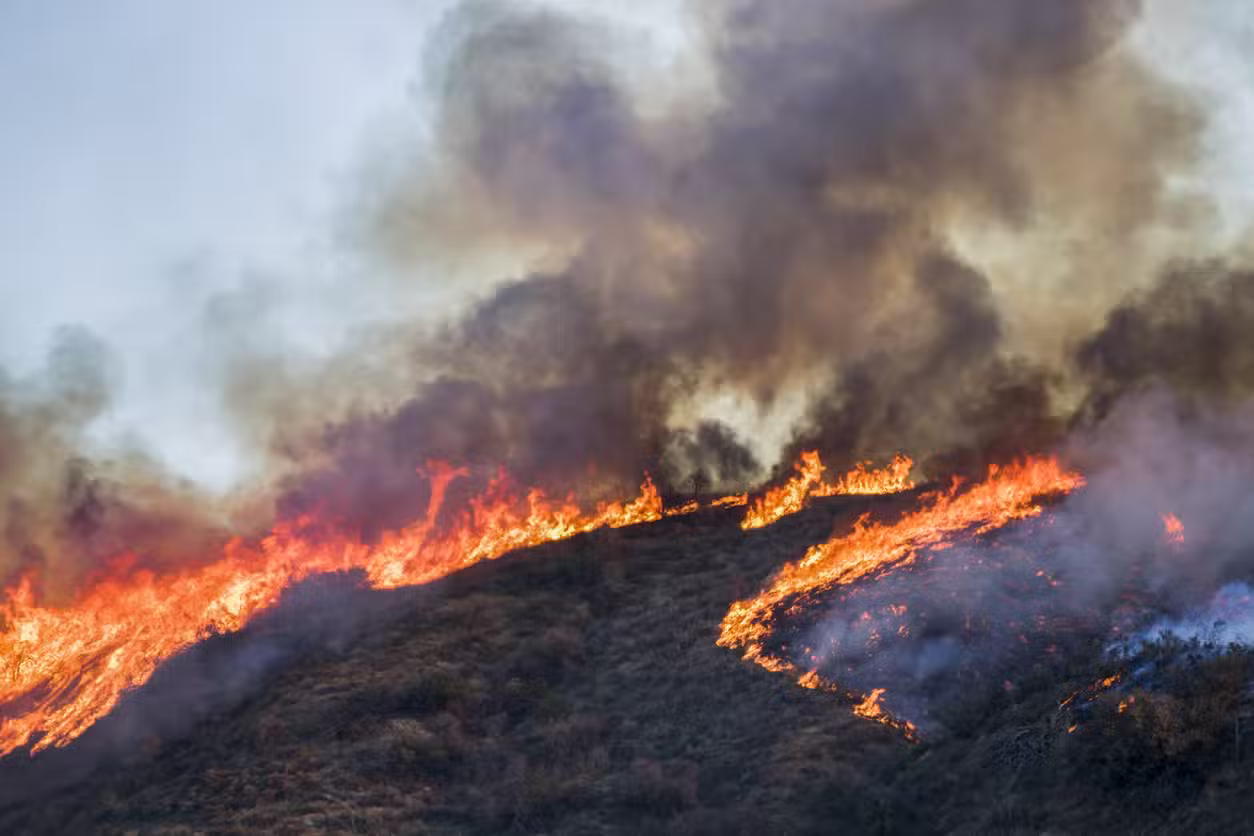 Line Fire Near Highland Expands Beyond 20,500 Acres, Threatening Thousands of Homes