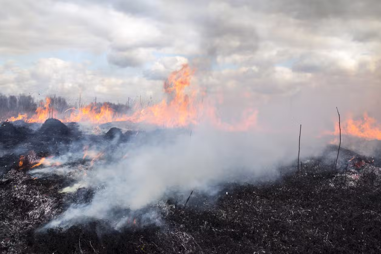 Smoke, Soot, & Ash After a Wildfire: How to Spot Hidden Damage & Get Compensated
